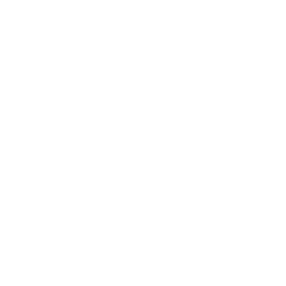 Aldiana Logo in weiß für Referenzen