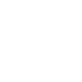 Sansibar Logo